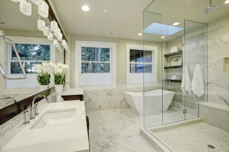 Elegant Shower and Tub Area